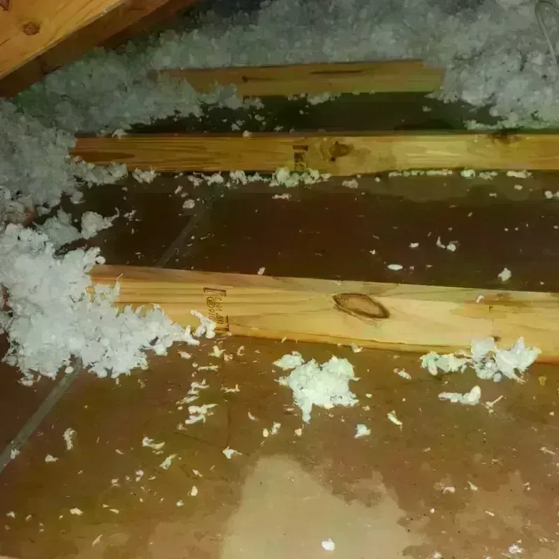 Attic Water Damage in Broxton, GA